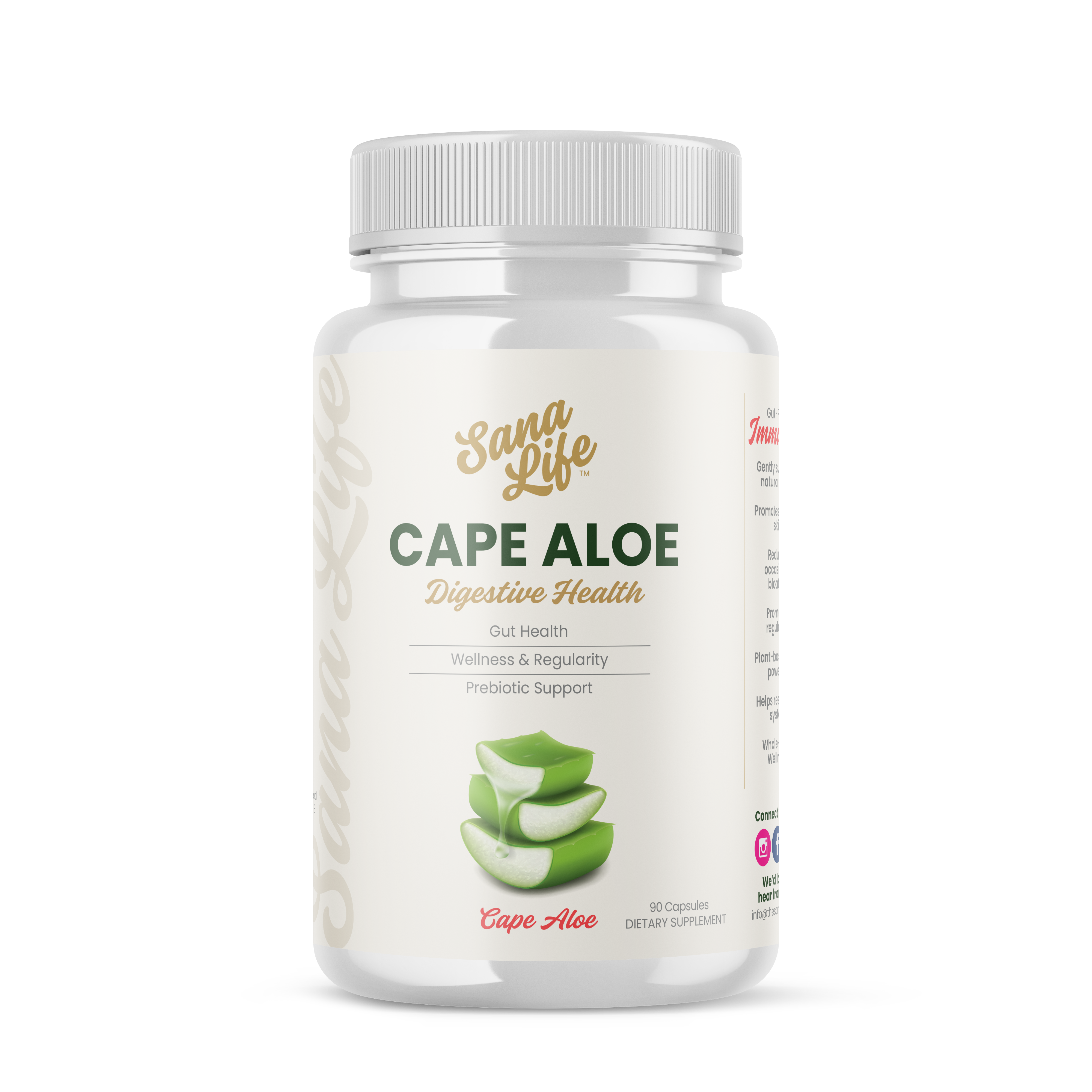 Cape Aloe