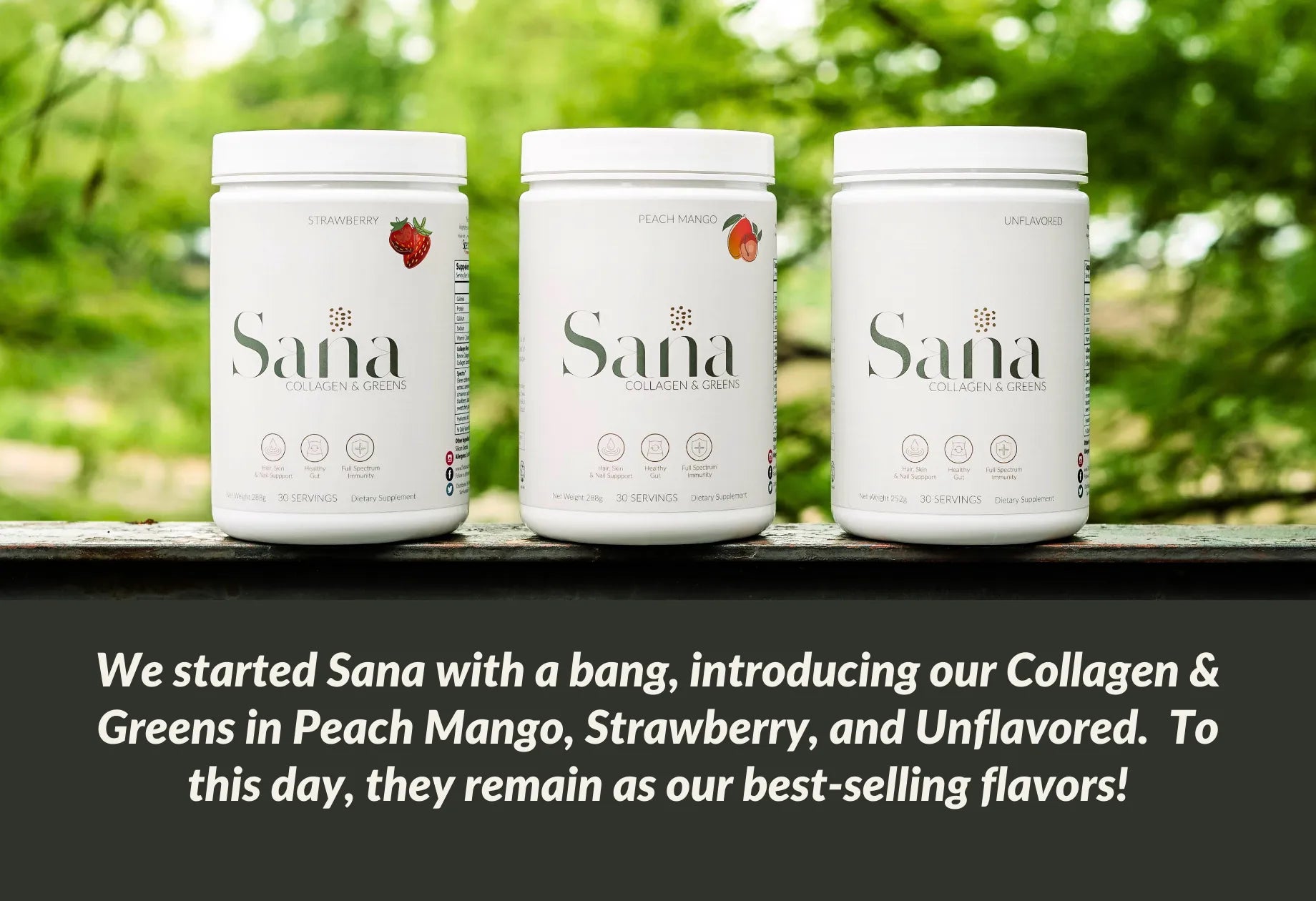 Reintroducing Sana Life: A New Chapter in Our Wellness Journey